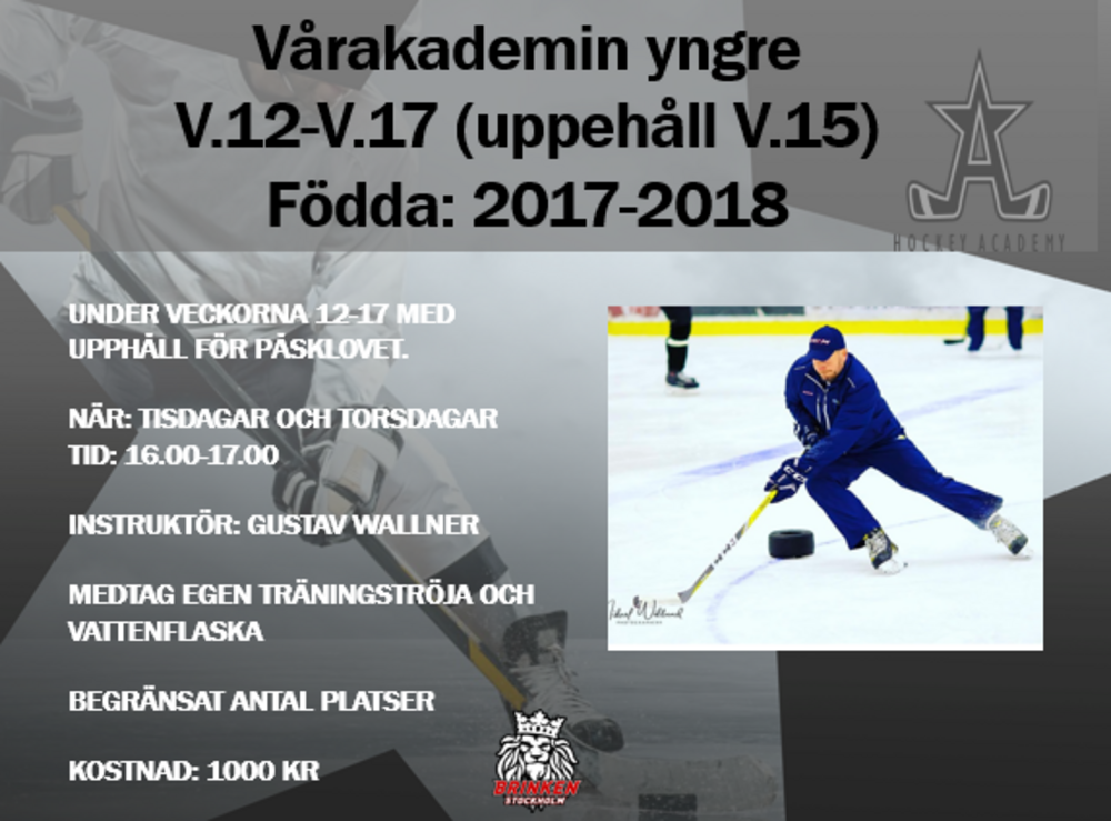 Vårakademi 2026 - Yngre